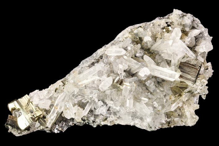 Gleaming Pyrite & Quartz Crystal Association - Peru #107424